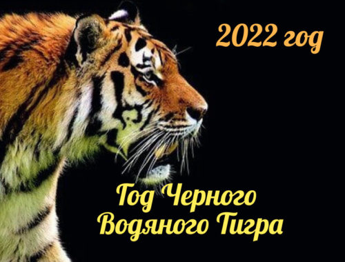 Гороскоп на 2022 год .